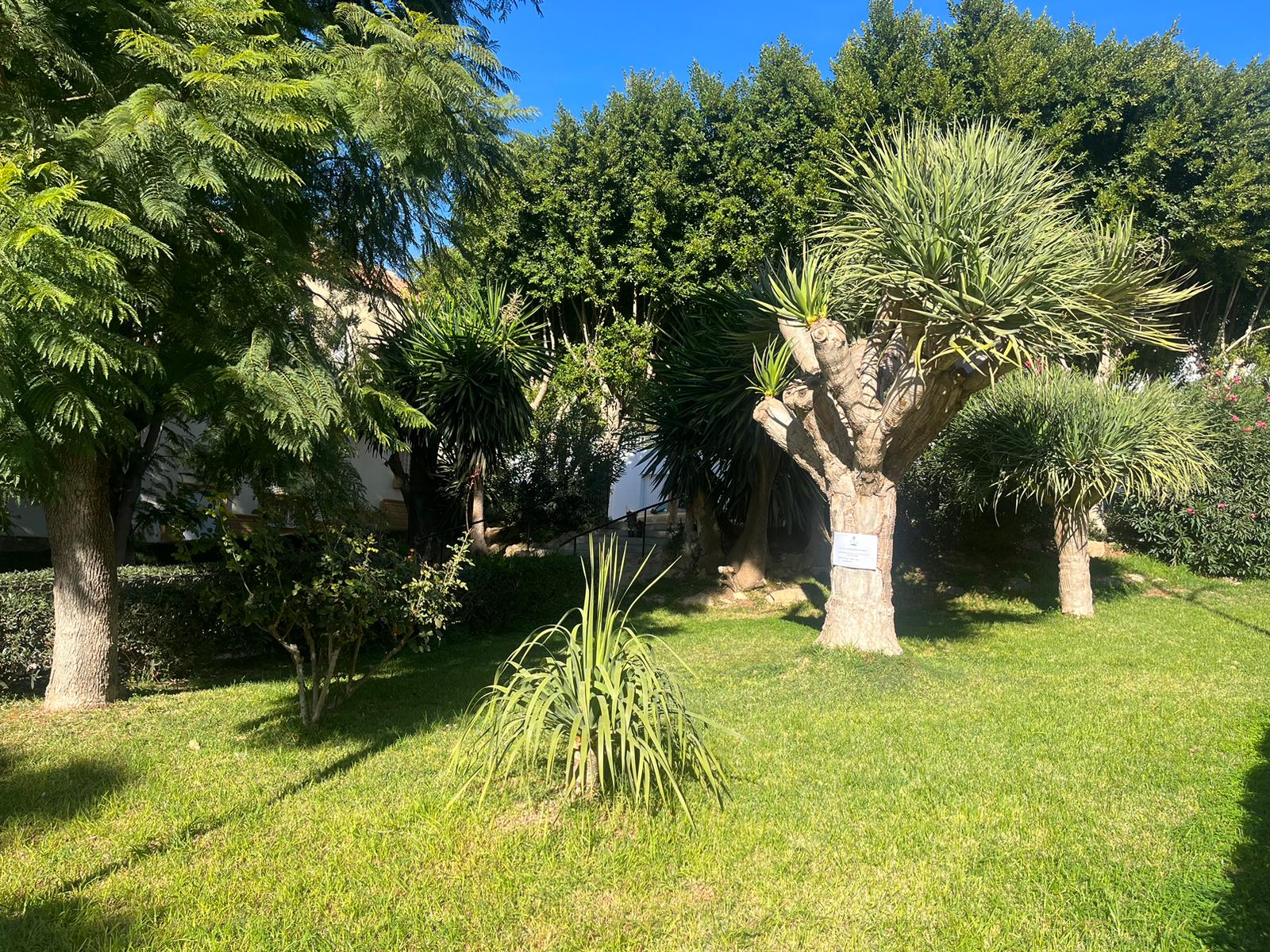 Berja completa diversas zonas ajardinadas a través del Plan Savia de la Diputación de Almería
